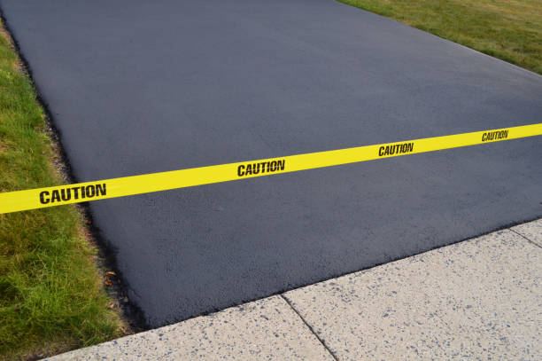 Professional Driveway Paving Services in Stockton, IL